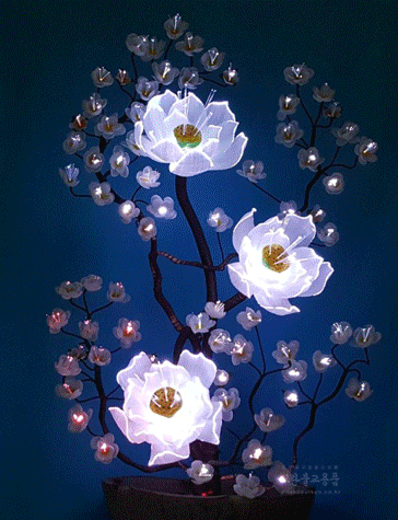 광섬유꽃-3송이 연꽃매화 (흰색)- 수반형 고급
