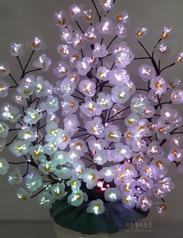 광섬유꽃-매화 동자꽃 (흰색)