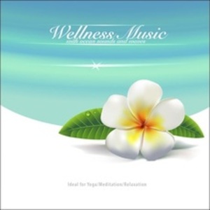 웰니스 뮤직 (WELLNESS MUSIC) 3CD
