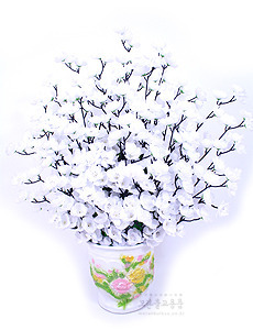 매화꽃 (흰색)
