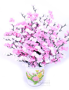 매화꽃 (분홍+흰색)