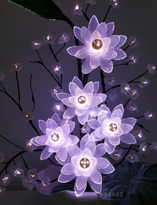 광섬유꽃-5송이 연꽃 극락조매화 (흰색)
